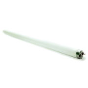 Fluorescent Tube - 4ft - 36 Watt