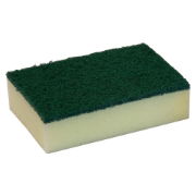 Sponge Scourer