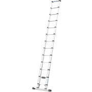 Telescopic Laddermatic
