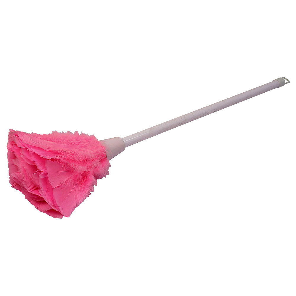 Feather Duster